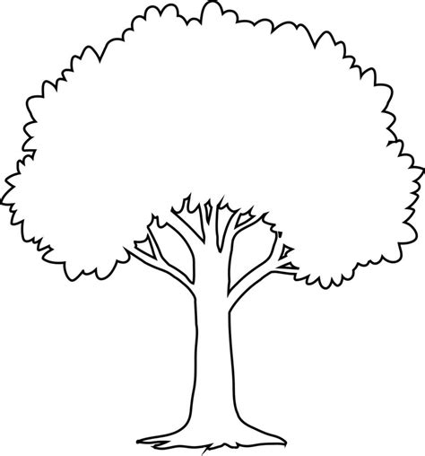 The outline of the tree is black. 9515360 Vector Art at Vecteezy