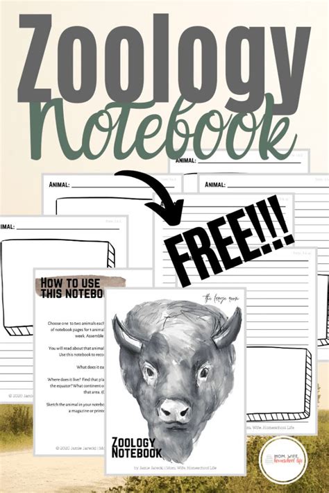 FREE Zoology Notebook Journal Homeschool Study, Homeschool Deals, How To Start Homeschooling ...