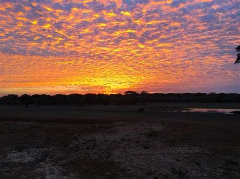 Sri Lanka: the sunrise over Yala National Park - Je suis bobo