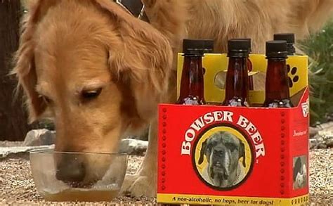 Amazing Beers For Dogs Means That You'll Always Have A Drinking Buddy ...