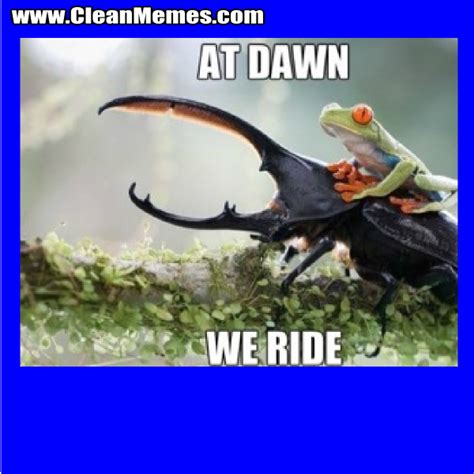 Crab Memes – Clean Memes