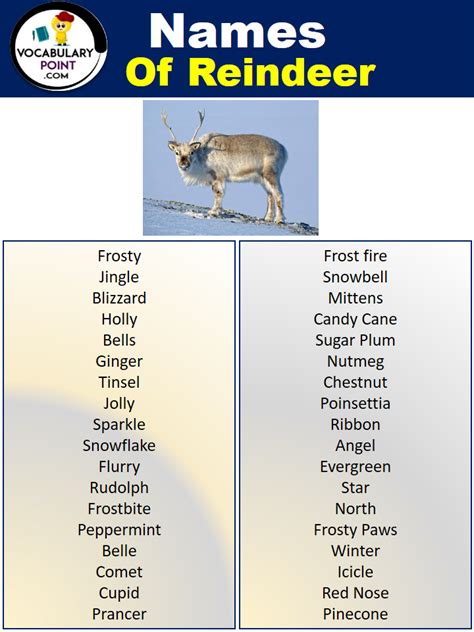 500 + Best Reindeer Names (Male and Female) - Vocabulary Point