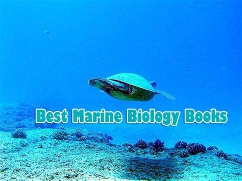 Top 15 Marine Biology Books | Oceanography Books | Biology Explorer