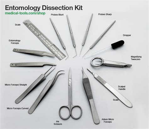 Entomology Dissection Kit Veterinary Instruments Medical Tools Shop