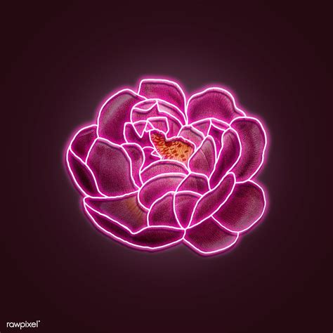 a pink flower is lit up in the dark with neon lights on it's petals