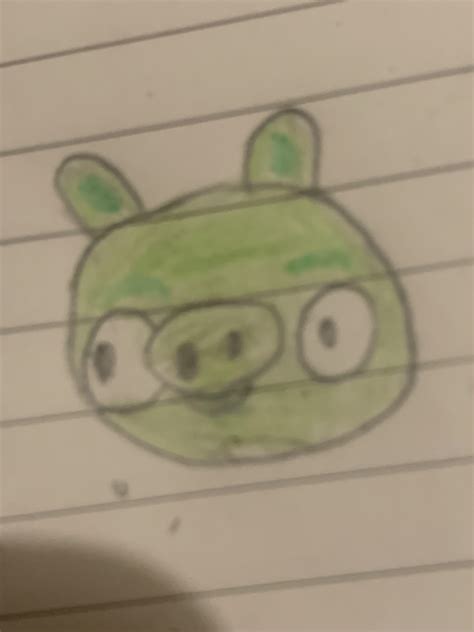 Pig drawing I made : r/angrybirds