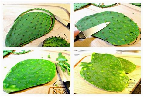 How to Cook Cactus Paddles (Nopales) / Cómo Cocinar Nopales - Mexico In ...