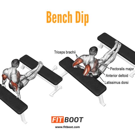 Tricep Dips: How To Do, Muscles Worked, Benefits & Variations