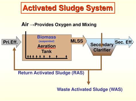 PPT - ACTIVATED SLUDGE PROCESS PowerPoint Presentation, free download - ID:3654392