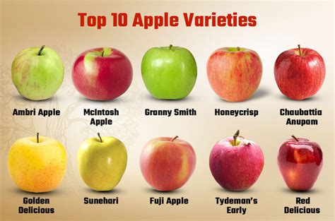 Apple Farming in India - List of Apple Varieties and Planting Method