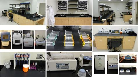 Behavior Genetics Lab | Behavior Genetics Laboratory | University of Nebraska–Lincoln