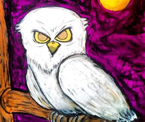 White Owl Symbolism & Meaning: Spiritual, Cultural, & Dream - Bird Guidance