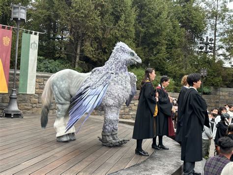 PHOTOS, VIDEO: Hippogriff Magical Encounter at The Wizarding World of ...