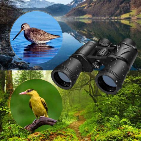 How To Choose The Right Binoculars For Bird Watching at Philip Champagne blog