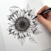 Aesthetic Sunflower Drawing Pic - Drawing Skill