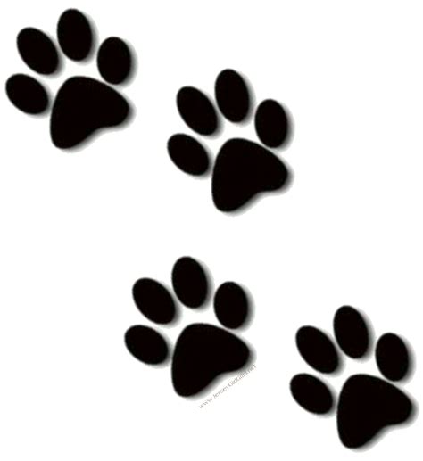 Download High Quality paw clipart cub Transparent PNG Images - Art Prim clip arts 2019