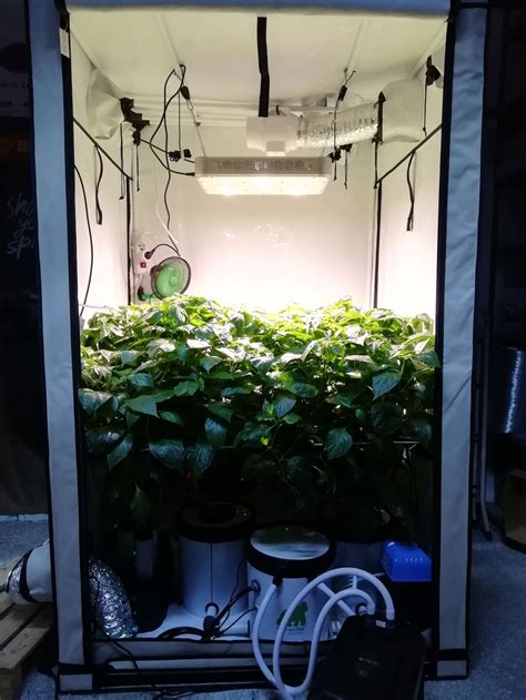 New technologies to support indoor and hydroponic cultivation