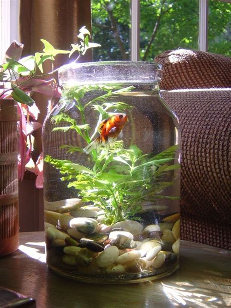 Feng Shui To Create A Meditative Home! | Indoor water garden, Water ...