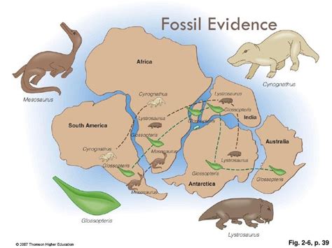 Plate Tectonics