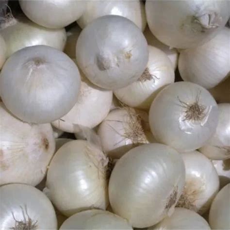 White Onion in Pune, सफेद प्याज, पुणे - Latest Price & Mandi Rates from Dealers in Pune