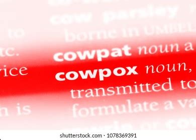 Cowpox Word Dictionary Cowpox Concept Stock Photo 1078369391 | Shutterstock