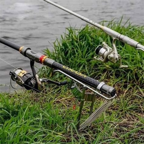 Best Rod Holders for Bank Fishing: 2022 Reviews and Buying Guide - USAngler