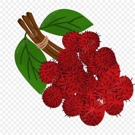 Rambutan Clipart