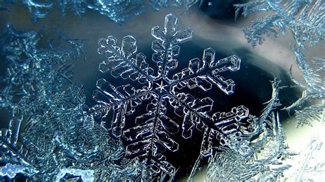 Snowflake Photo - Wallpaper, High Definition, High Quality, Widescreen