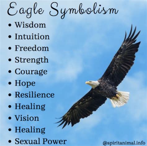 Eagle Symbolism | Eagle, Eagle symbol, Spirit animal