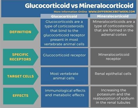 Glucocorticoid vs Mineralocorticoid - Tabular Form | Molecules, Functional group, Different