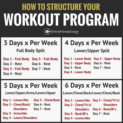 Popular Fitness Routines | Workout programs, Body workout plan, Full body workout