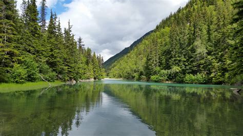 Free stock photo of alaska, forest, Skagway