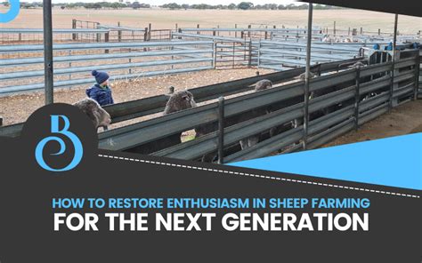 Restore Enthusiasm In Sheep Farming For The Next Generation
