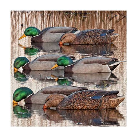 Avian-X Back Water Floating Mallard Duck Decoys | 6 Pack | Rogers ...