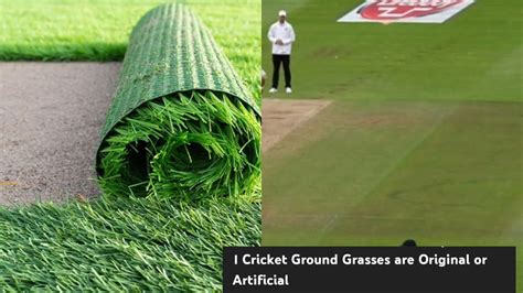 Cricket Ground Grass