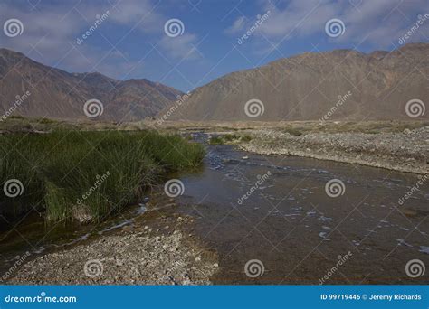 River in the Atacama Desert Stock Photo - Image of grass, nature: 99719446