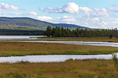 Lappland wilderness Photograph by Alexander Farnsworth - Fine Art America