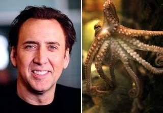 Nicolas Cage Pets - Celebrity Pet Worth