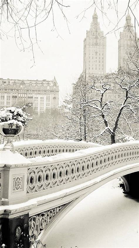 Snow in central park – Artofit