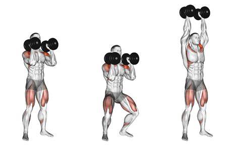 Dumbbell Push Press: Benefits, Muscles Worked, and More - Inspire US