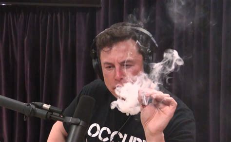 'The Joe Rogan Experience' Subscriber Count Soars After Lit Musk ...