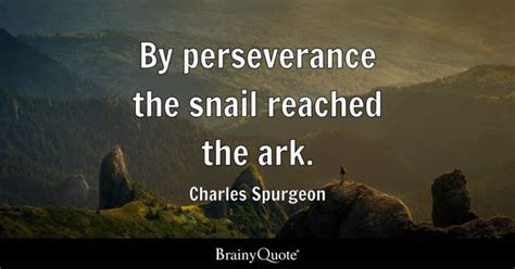 Perseverance Quotes - BrainyQuote