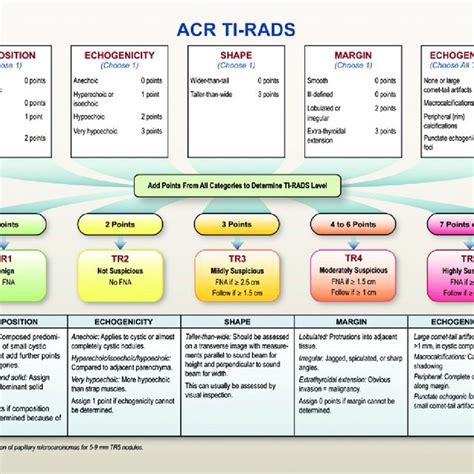 Download Scientific Diagram Tirads Classification Alg - vrogue.co