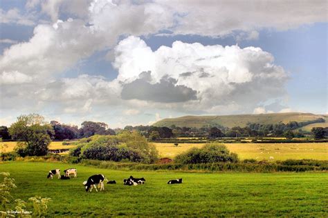 English Countryside - Pictures of England