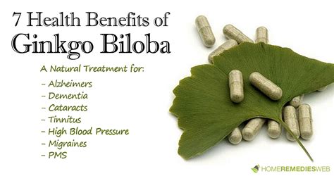 Health Benefits of Ginkgo Biloba