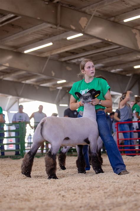 Home - Des Moines County Fair