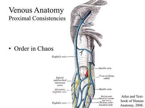 Internal Medicine Point of Care Ultrasound - IMPoCUS