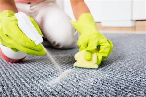 How to Clean Carpet with Baking Soda and Vinegar | SW Cleaners