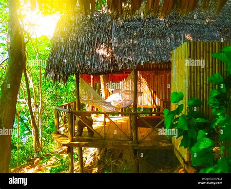 Tropical beach houses in Thailand Stock Photo - Alamy