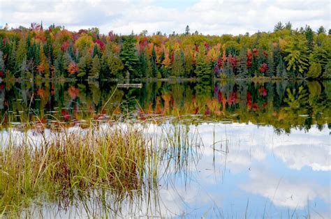 Fall Colors In Algonquin Park 2014